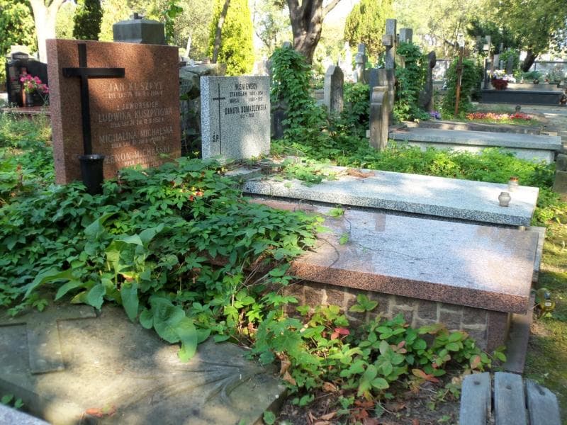 Zdjęcie grobu Ludwika Kuszpytowa (1)