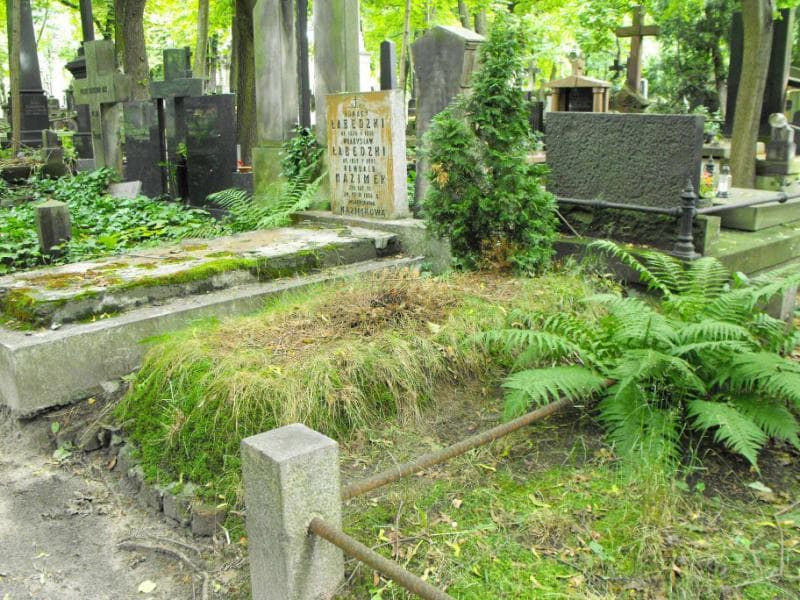 Zdjęcie grobu Aleksandra Węckowicz (1)
