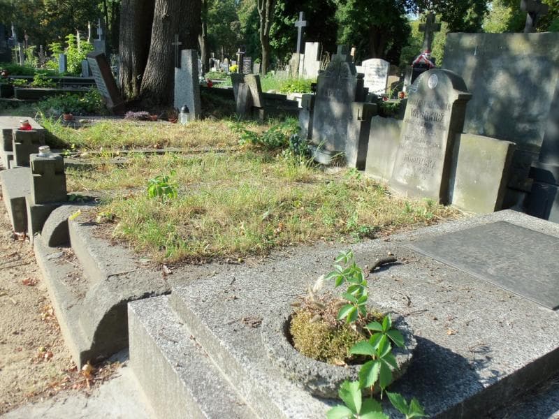 Zdjęcie grobu Władysława Borowska (1)