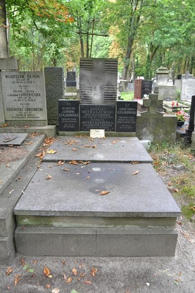 Zdjęcie grobu Teodor Andrzej Czajkowski (1)