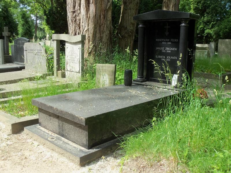Zdjęcie grobu Władysław Feliks Orzeł-Orlewicz (1)