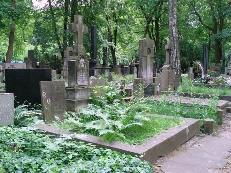 Zdjęcie grobu: Józefa Zofia Drużyńska