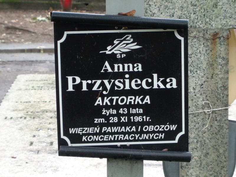 Zdjęcie grobu Anna Przysiecka (2)