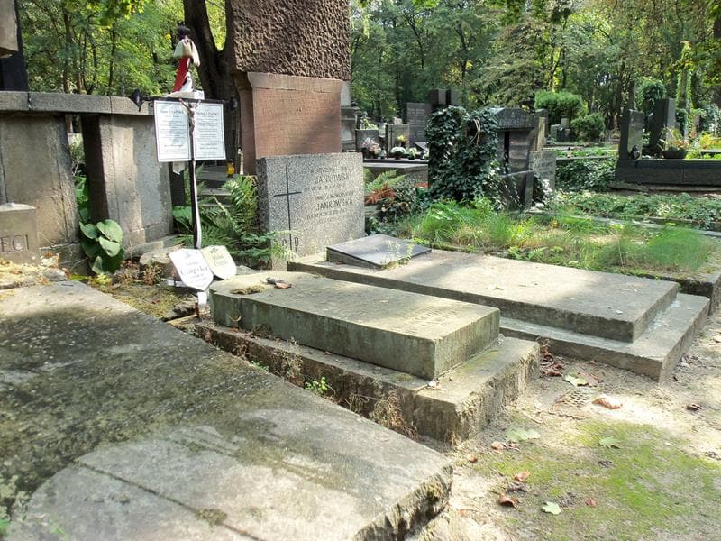 Zdjęcie grobu Michał Czapski (1)