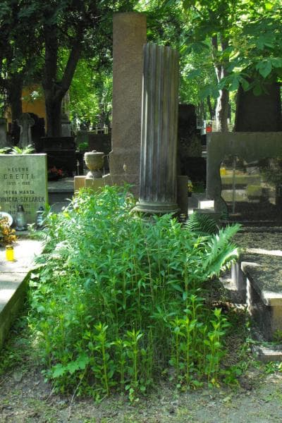 Zdjęcie grobu Anonim (1)