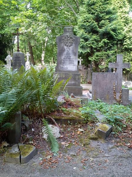 Zdjęcie grobu Cezarjusz Kubaszewski (1)