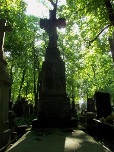 Zdjęcie grobu: Franciszek Tomczycki