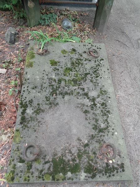Zdjęcie grobu Franciszek Dąbrowski (2)