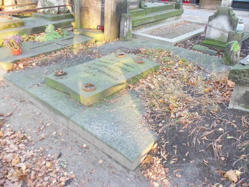 Zdjęcie grobu Olszewscy (2)
