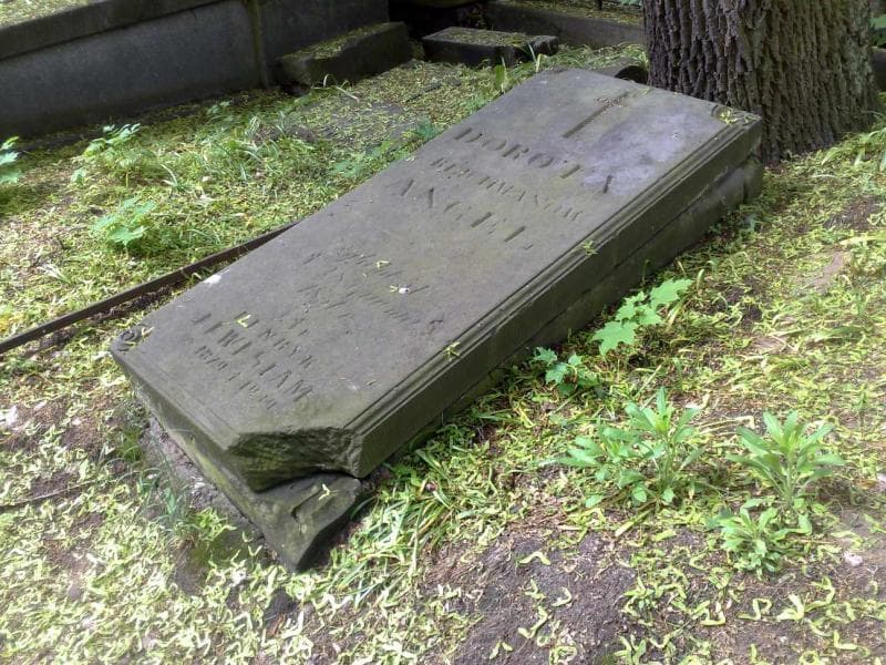 Zdjęcie grobu Henryk Lewestam (1)