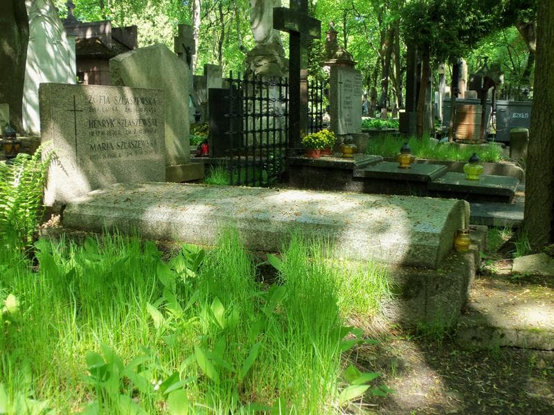 Zdjęcie grobu Henryk Szlaszewski (1)