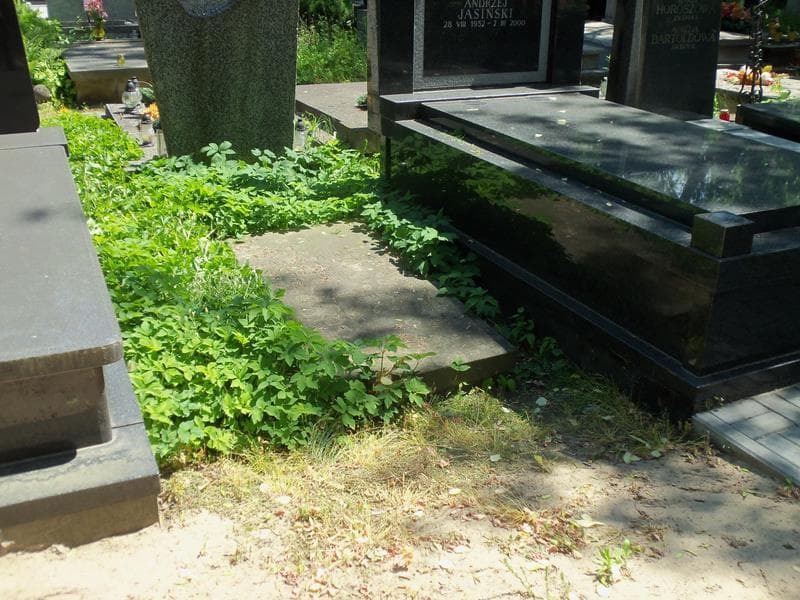 Zdjęcie grobu Janina Przecławska (1)