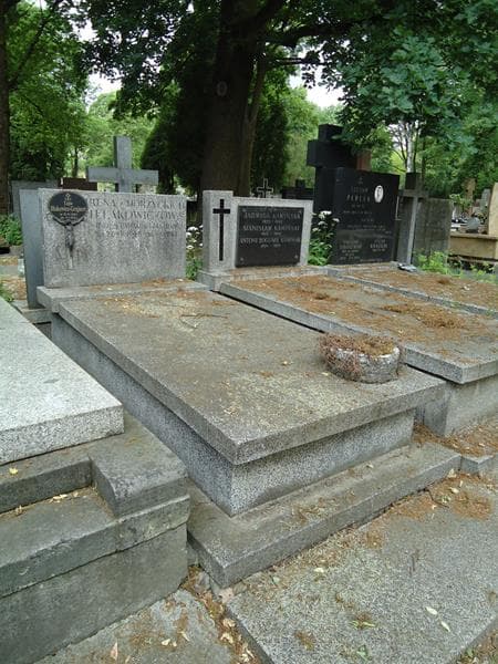 Zdjęcie grobu Ligia Iłłakowicz-Grajnert (1)