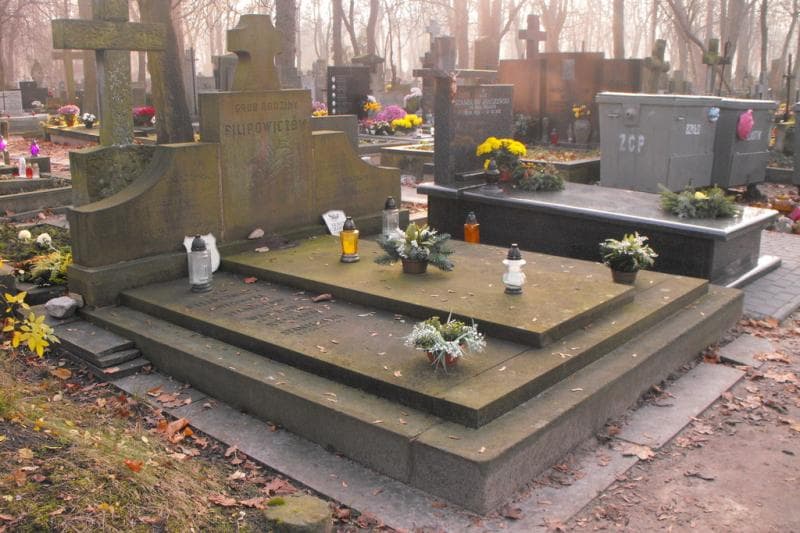Zdjęcie grobu Albin Czapski (1)