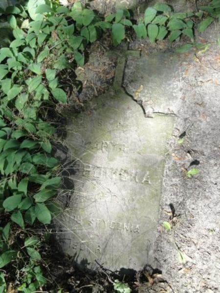 Zdjęcie grobu Marya Dąbrowska (1)