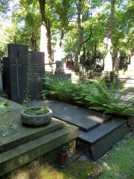 Zdjęcie grobu Maria Antonina Pogorzelska (1)
