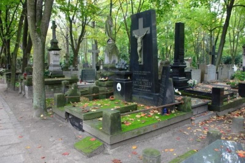 Zdjęcie grobu Julia Tauer (1)