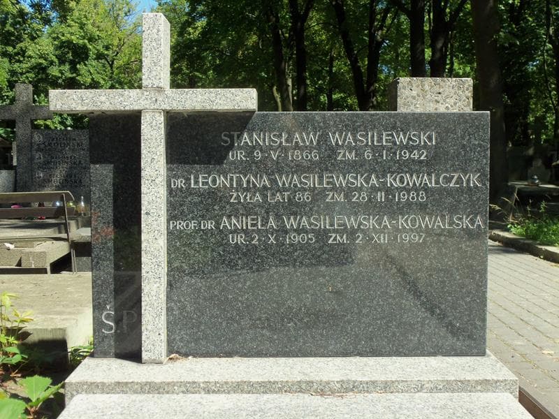 Zdjęcie grobu Stanisław Wasilewski (2)