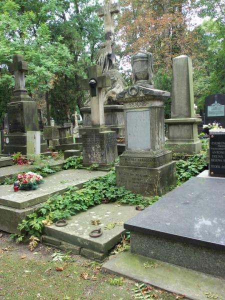 Zdjęcie grobu Antoni Devison (1)