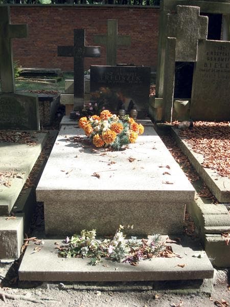 Zdjęcie grobu Andrzej Freliszek (1)