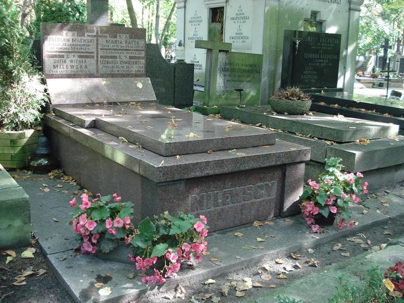 Zdjęcie grobu Wanda Dreger (1)