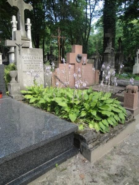 Zdjęcie grobu Teofila Gorlewska (1)