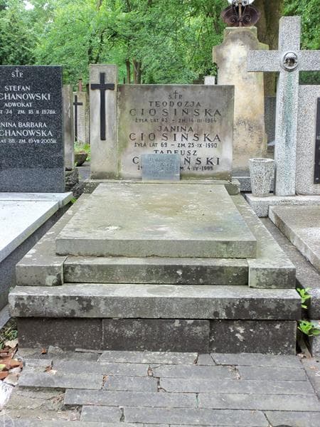Zdjęcie grobu: Tadeusz Ciosiński