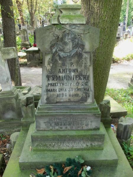 Zdjęcie grobu Antoni Tymieniecki (2)