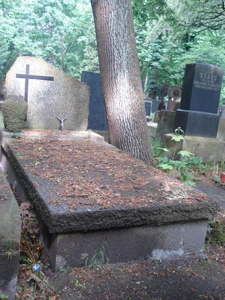Zdjęcie grobu: Wanda Kwaskowska