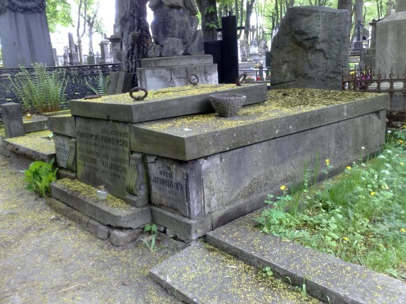 Zdjęcie grobu Aniela Dehnelowa (1)