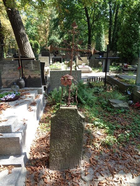 Zdjęcie grobu Helena Rudnicka (1)