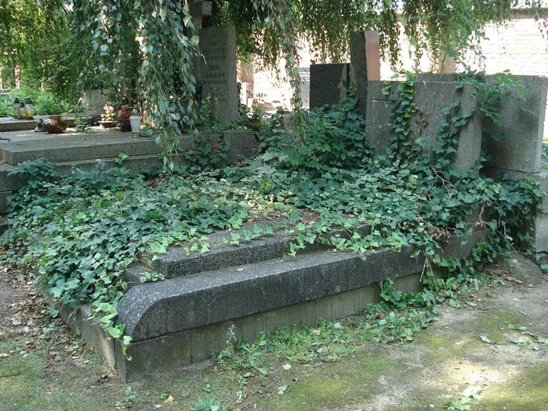 Zdjęcie grobu: Zofia Niemczewska