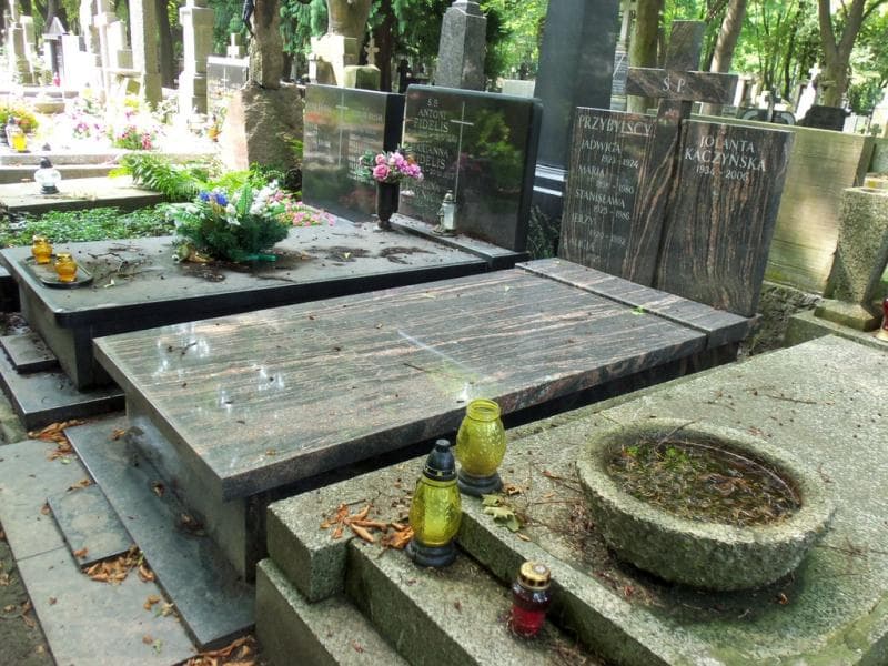 Zdjęcie grobu Teofil Walocha (1)