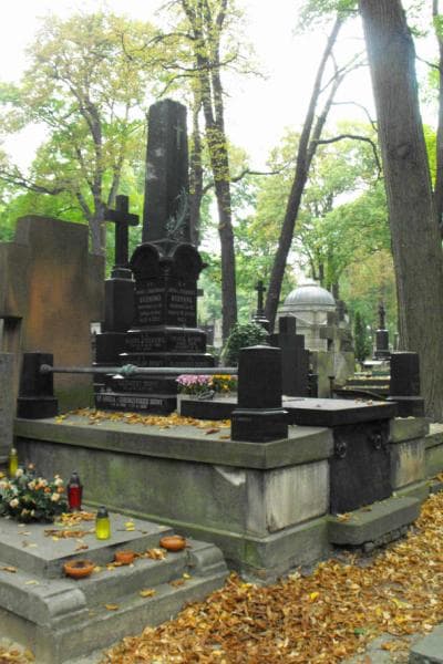 Zdjęcie grobu Aniela Budny (1)