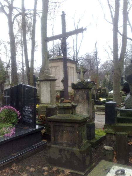 Zdjęcie grobu Ludwika Braun (1)