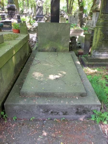 Zdjęcie grobu: Zygmunt Kwiatkowski