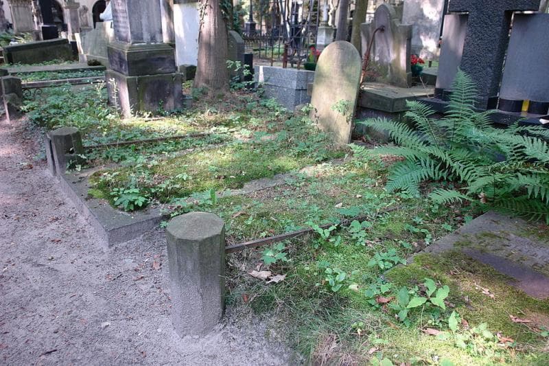 Zdjęcie grobu: Flora Bystrzanowska