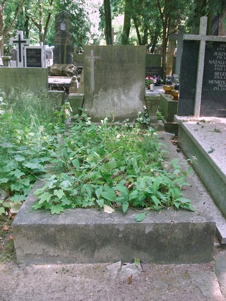 Zdjęcie grobu Weronika Selewanowska (1)