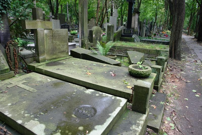 Zdjęcie grobu: Natalia Domaszewska