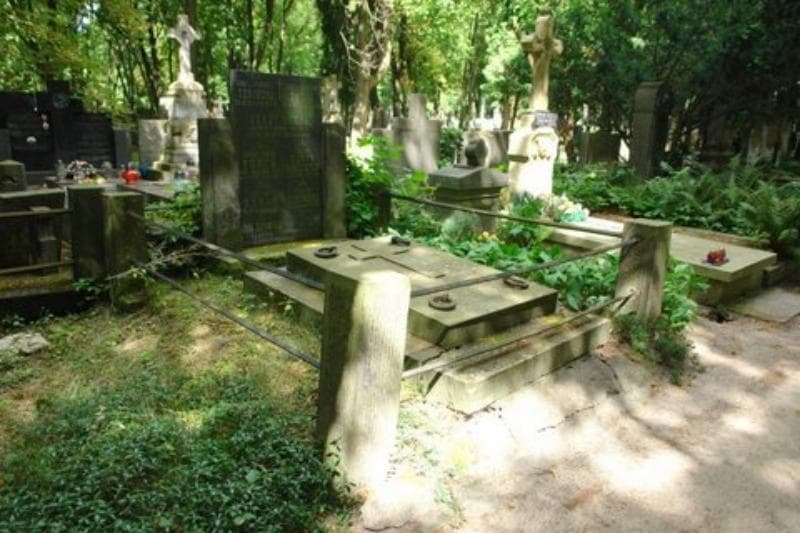 Zdjęcie grobu Anna Jażwińska (1)