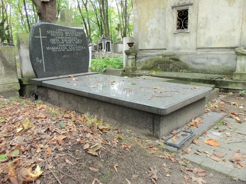 Zdjęcie grobu Zofia Kołakowska (1)