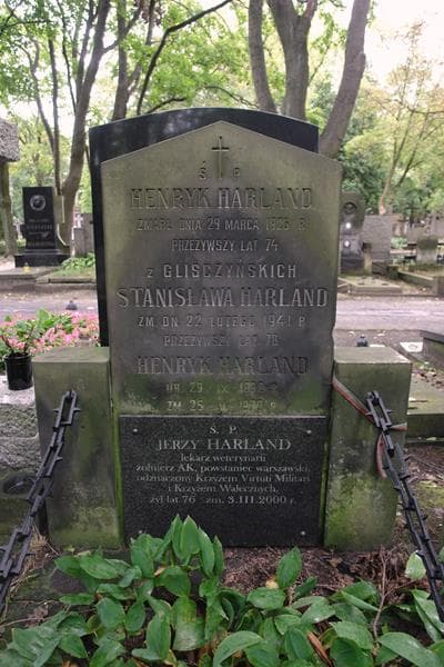Zdjęcie grobu Henryk Harland (2)