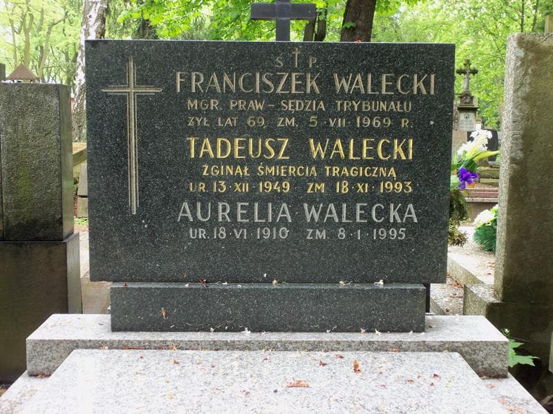 Zdjęcie grobu Tadeusz Walecki (2)