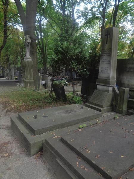 Zdjęcie grobu: Henryka Krzewska