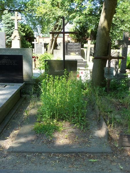 Zdjęcie grobu: Aleksander Goldsztaub-Noakowski