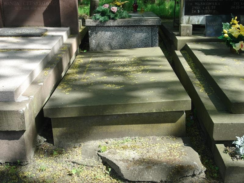 Zdjęcie grobu: Władysław Krzyżanowski