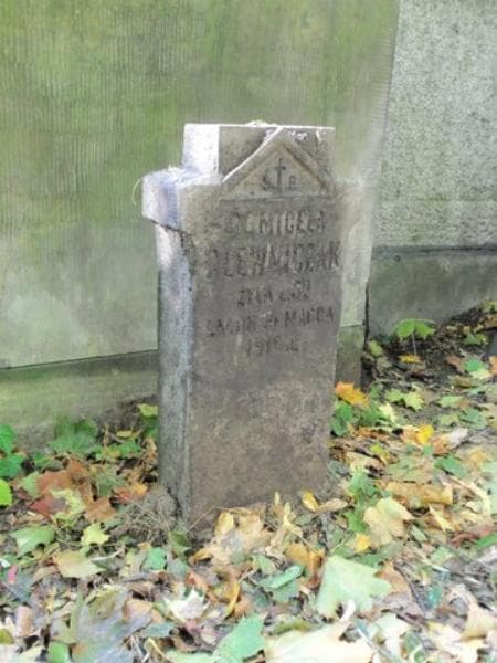 Zdjęcie grobu Domicela Olewniczak (2)