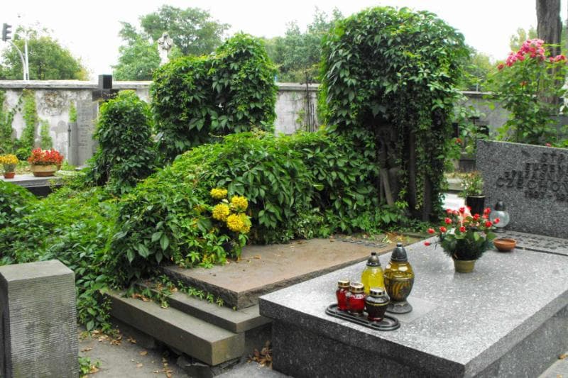 Zdjęcie grobu Janina Strausowa (1)