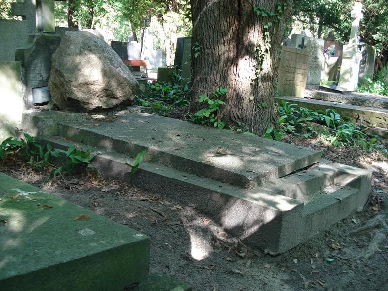 Zdjęcie grobu Stanisław Mankiewicz (1)