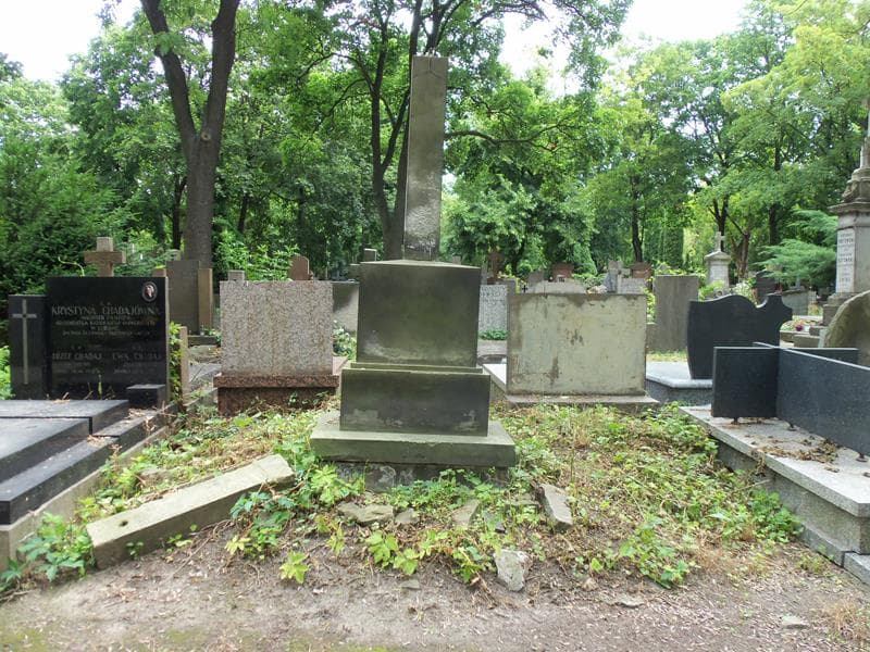 Zdjęcie grobu: Józefa Anaszkowska
